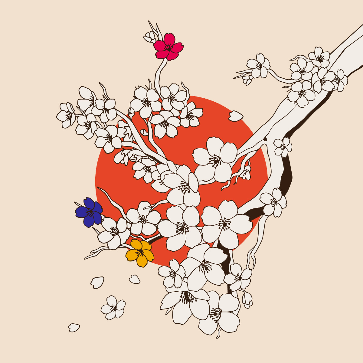 Convictions Advitam Conseils